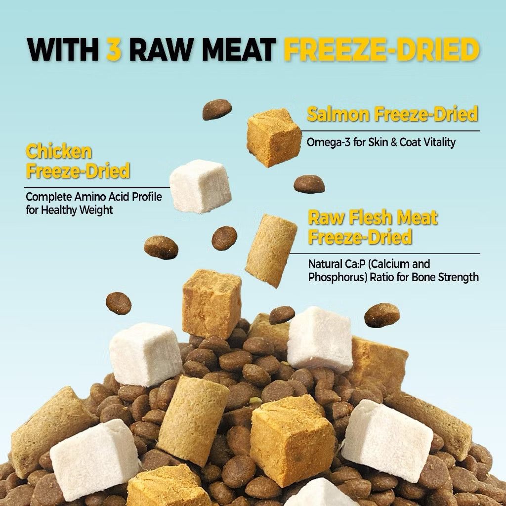 Petour Bite of Wild - 高肉含量無穀貓糧 (P42) 1kg