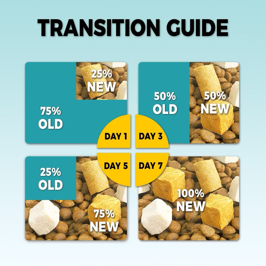 Petour Bite of Wild - 高肉含量無穀貓糧 (P42) 1kg