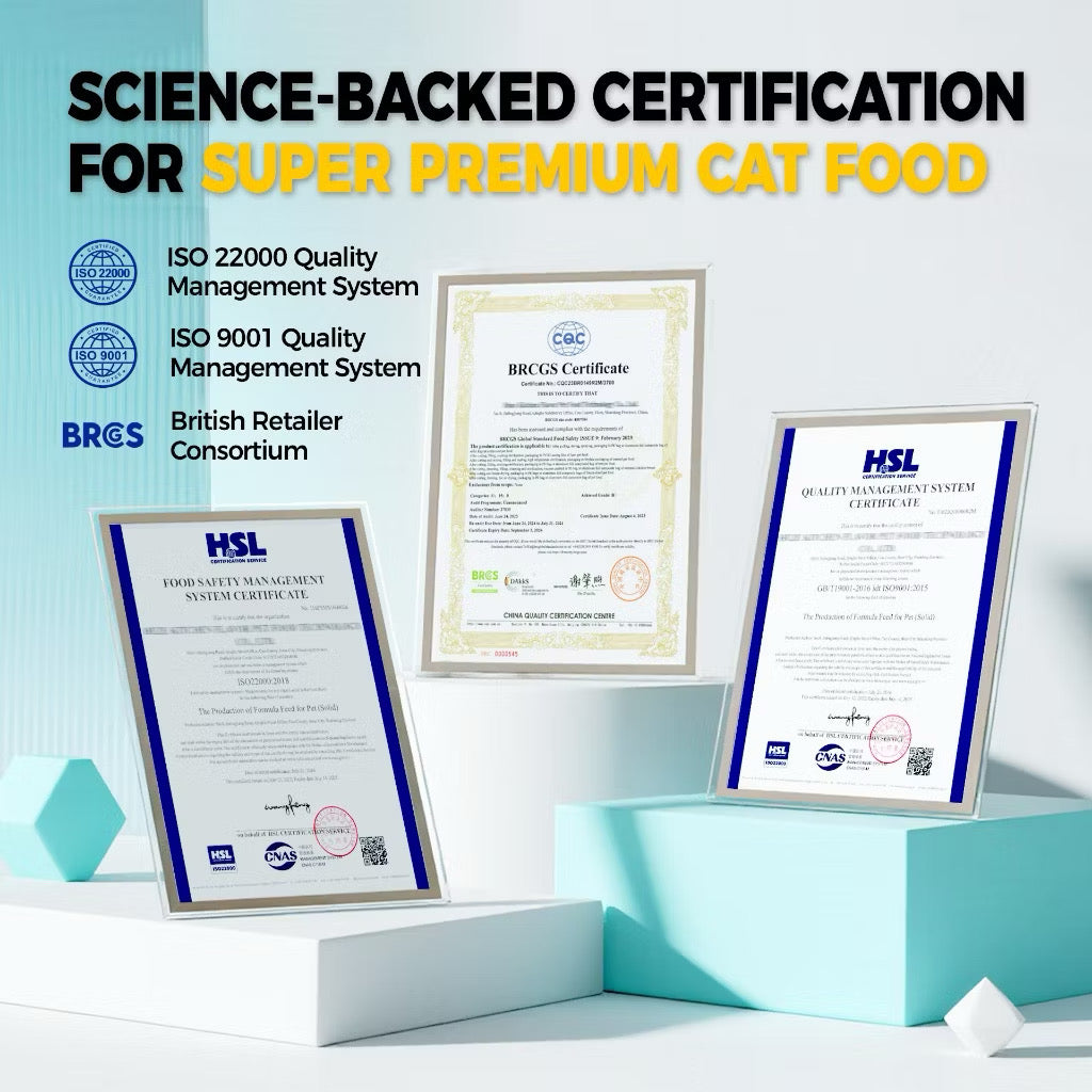 Petour Bite of Wild - 高肉含量無穀貓糧 (P42) 1kg