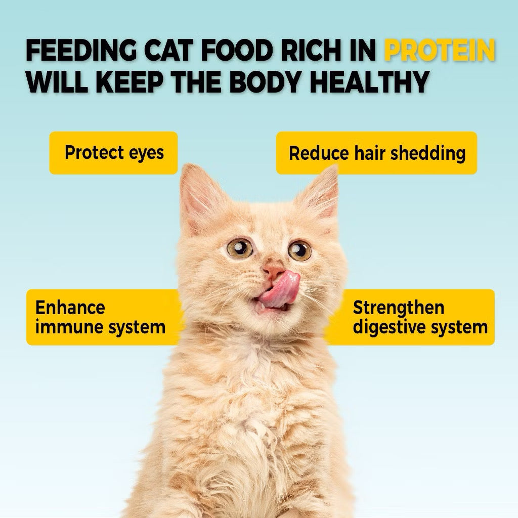 Petour Bite of Wild - 高肉含量無穀貓糧 (P42) 50g