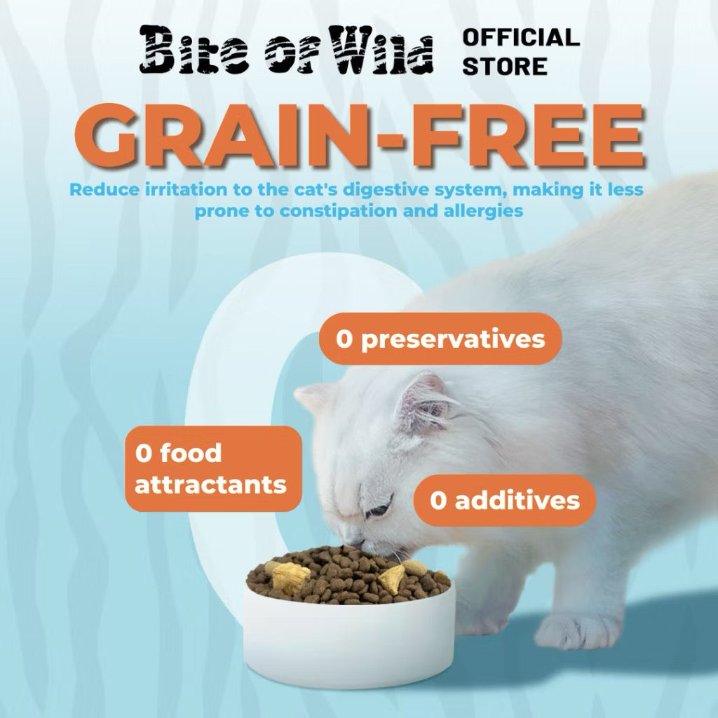 Petour Bite of Wild - 6魚配方無穀貓糧 (F42) 50g